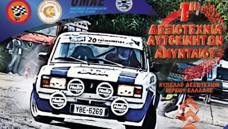 Δεξιοτεχνία-αυτοκινήτων-Αμυνταίου
