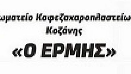 estiash kozanis ermhs
