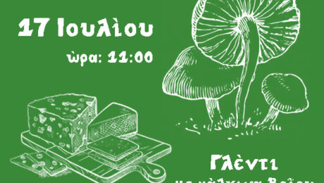 Αφίσα για Ζώνη Βοΐου100 copy
