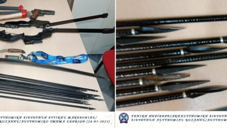 ΑΣΤΥΝΟΜΙΚΟ ΤΜΗΜΑ ΣΕΡΒΙΩΝ
