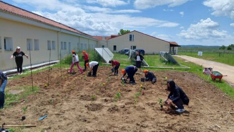 Carbon Farming Schools 7 (1)