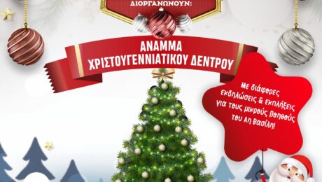Koinotita_Xirolimnis_Afisa_Anama_Dentrou
