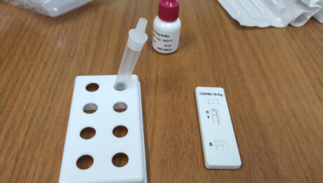 rapid tests