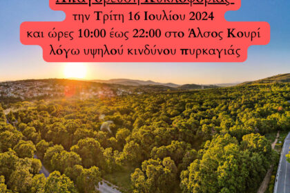 kouriapagoreusi