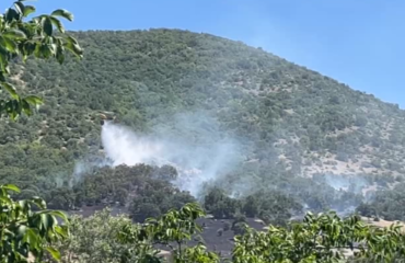 Χωρίς τίτλο