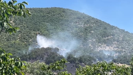 Χωρίς τίτλο