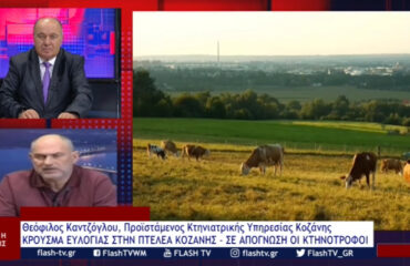 KTHNO