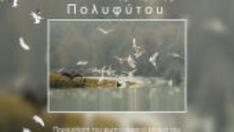 αρχείο λήψης (6)