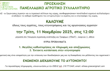 ΠΡΟΣΚΛΗΣΗ ΣΕ ΣΥΛΛΑΛΗΤΉΡΙΟ