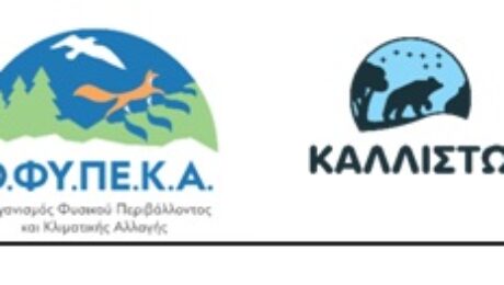 Χωρίς τίτλο