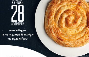 Dimos_Kozanis_Afisa_Gefsignosias_3