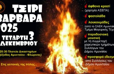 TSIRI_2025