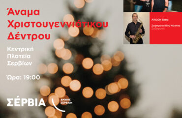 XMAS TREE SERVIA 25-01