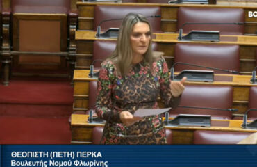 perka_domesygeias