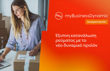 ΔΕΗ myBusiness Dynamic