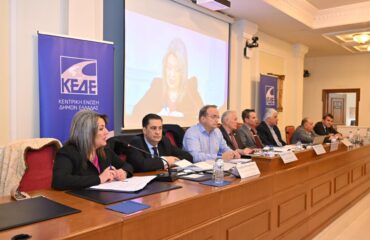 Maria Antoniou_Synedriasi KEDE_3