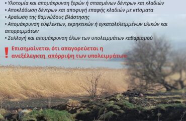 καθαρισμος_οικοπεδων
